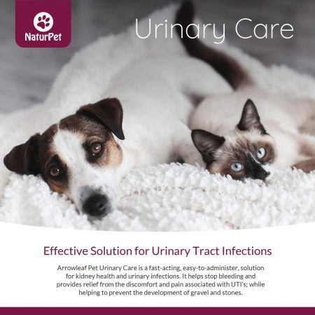 Urinary Care Pet Supplement