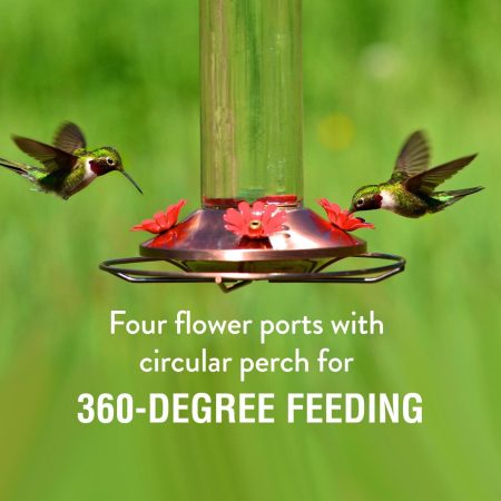 Elegant Copper Glass Hummingbird Feeder