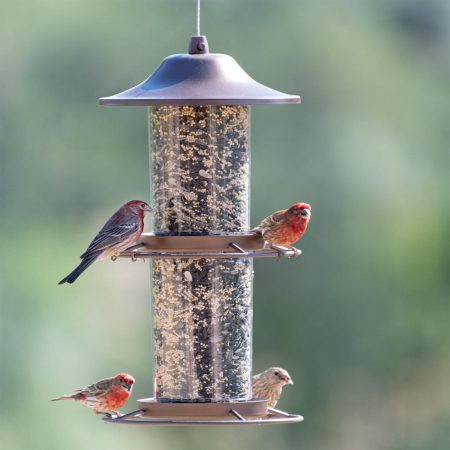 Panorama Wild Bird Feeder