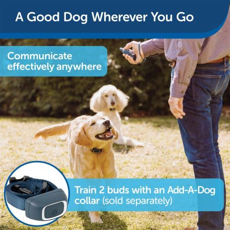 100 Metre Lite Remote Trainer Dog Collar