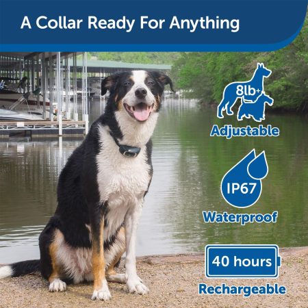 100 Metre Lite Remote Trainer Dog Collar