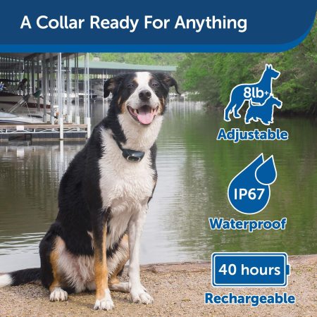 600 Metre Remote Trainer Dog Collar