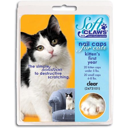 Kitten Clear Nail Caps Take Home Kit