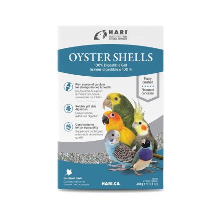 Bird Oyster Shell