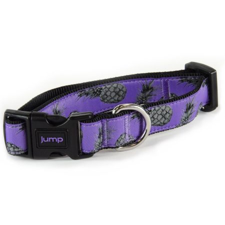 Nylon Adjustable Purple Pineapple Dog Collar