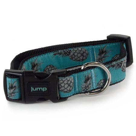 Nylon Adjustable Teal Pineapple Dog Collar