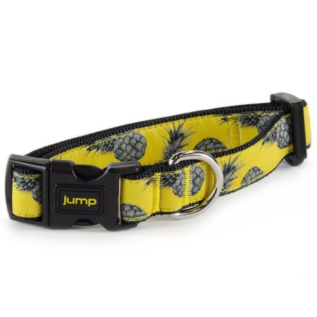 Nylon Adjustable Yellow Pineapple Dog Collar