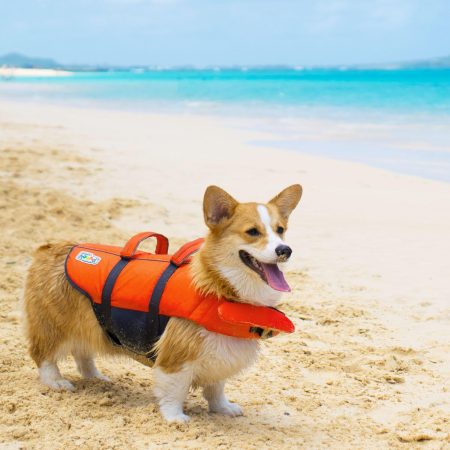 Granby Splash Life Vest Orange