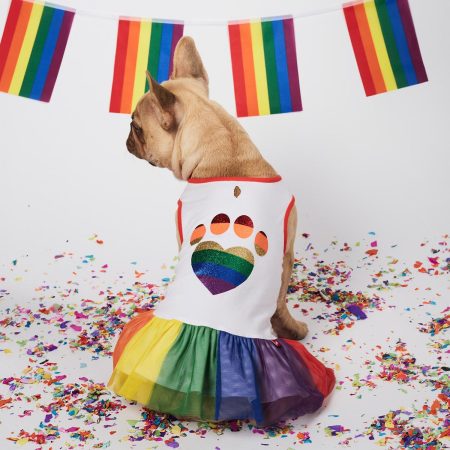 Pride Dress