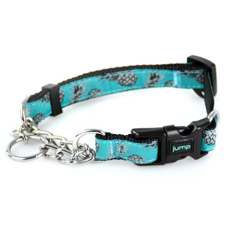 Martingale Teal Pineapple Dog Collar