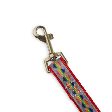 Pride Leash 5/8in Rainbow