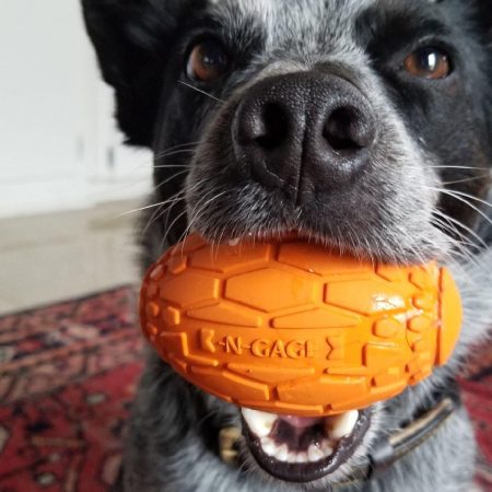 Squeaker Football - Orange