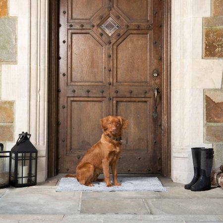 Dirty Dog Doormat Silver Grey