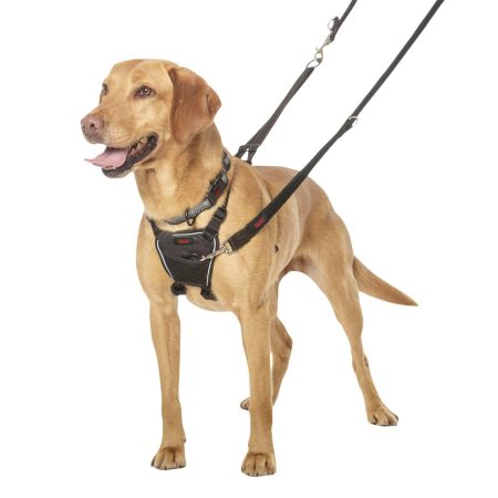 Halti No Pull Harness