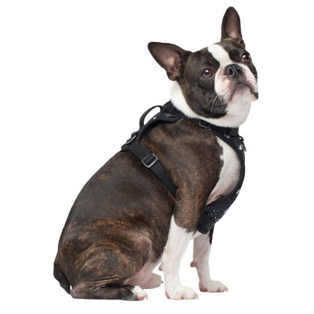 The Everything Water-Resistant Harness Splatter