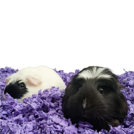 Purple Small Pet Bedding