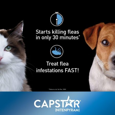 Oral Flea Small Dog & Cat Treatment