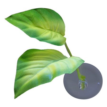 Betta Leaf