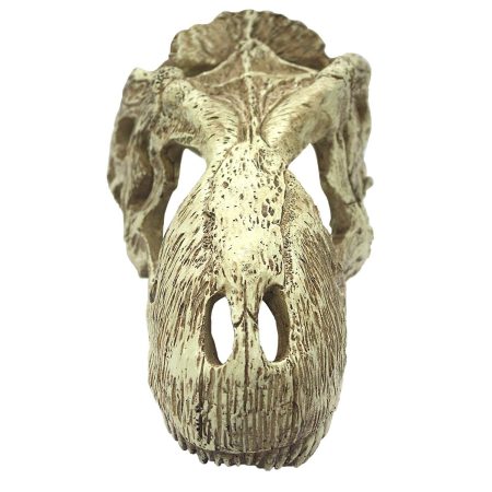 T-Rex Skull