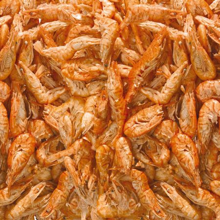 RiverShrimp Natural Shrimp Fish Treat