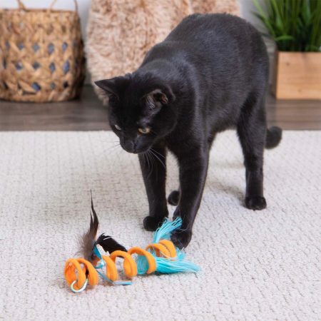 Crazy Coil Springy Cat Toy