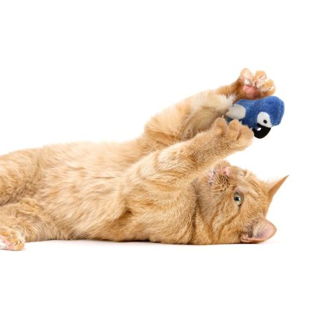 Chatty Chirp Cat Toy