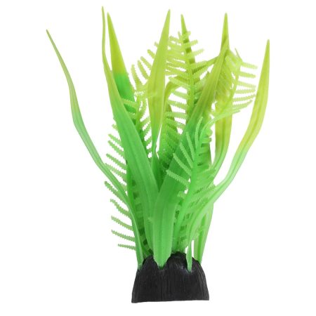 Flow Staghorn Fern & Seaweed Green Plant