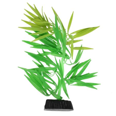 Flow Amazon Green Plant