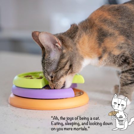 Kitty Lickin' Layers Cat Treat Puzzle