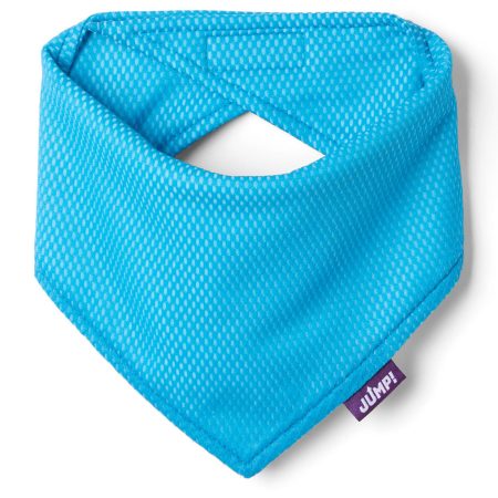 Cooling Blue Bandana