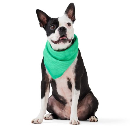 Cooling Green Bandana