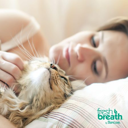 Fresh Breath Oral Care Cat Kit