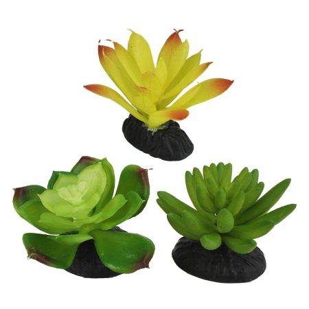 Yellow & Green Succulents