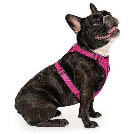 The Everything Mesh Dog Harness Pink