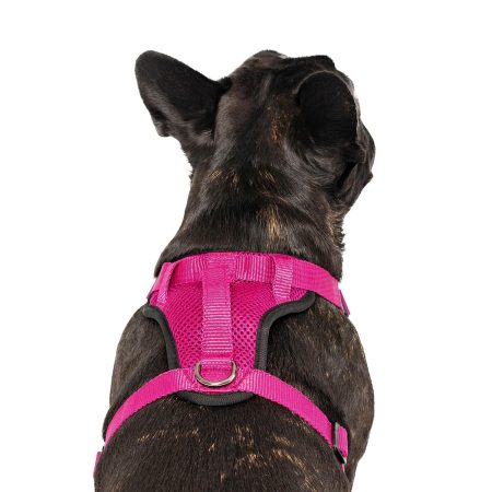 The Everything Mesh Dog Harness Pink