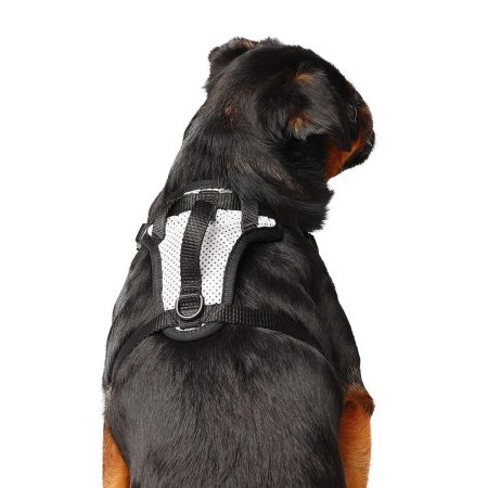 The Everything Mesh Dog Harness Reflective