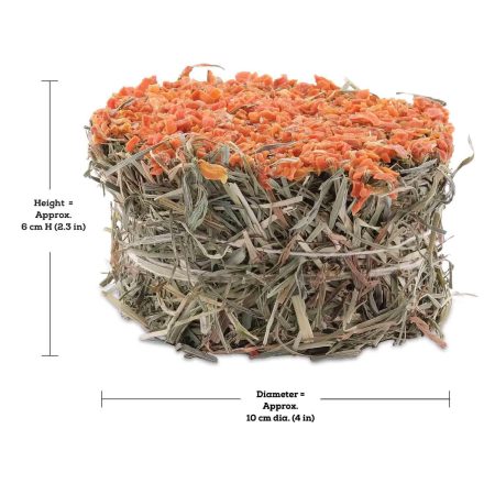 Botanicals Hay Cake with Carrots for Small Animals