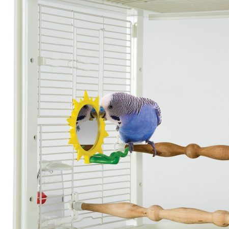 Sunburst Mirror Bird Toy