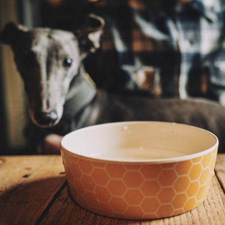 Honeycomb Printed Feeding & Water Bowl