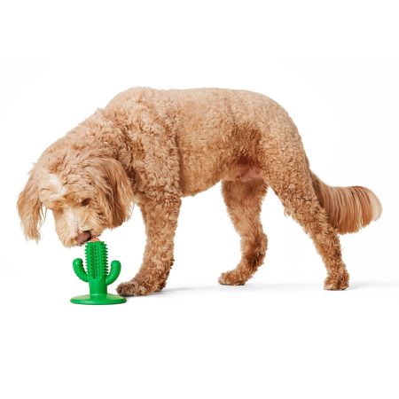 Cactus Suction Dog Toy