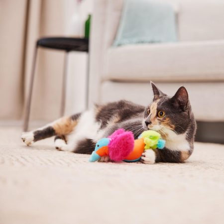 Chirpy Bird Cat Toy