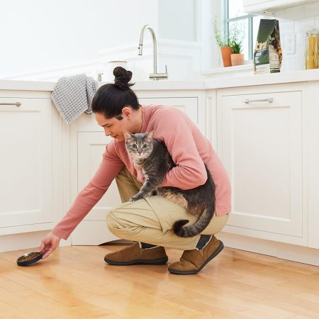 Low Double Wall Black Feeding Bowl