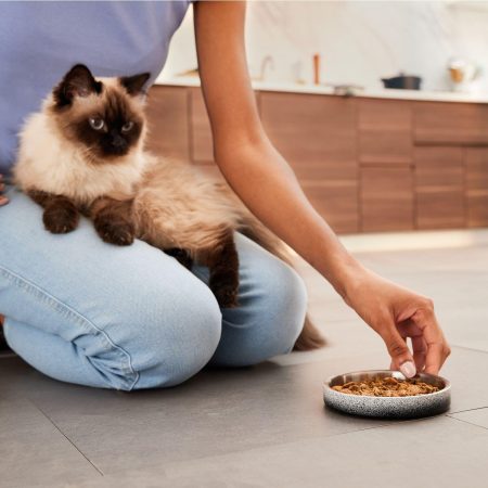 Low Double Wall Ombre Feeding Bowl