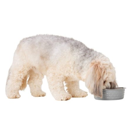 Stainless Steel White Dog Bowl