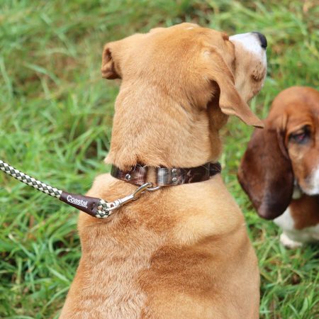 Water and Woods Waterproof Hound Dog Collar Green