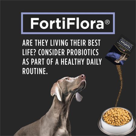 Veterinary FortiFlora Dog Supplements