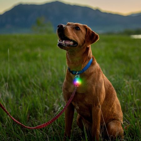 Spotlit Rechargeable Carabiner Light - Disc-O Tech