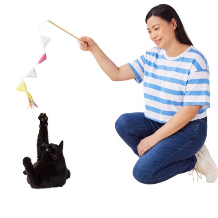 Birthday Flag Teaser Cat Toy