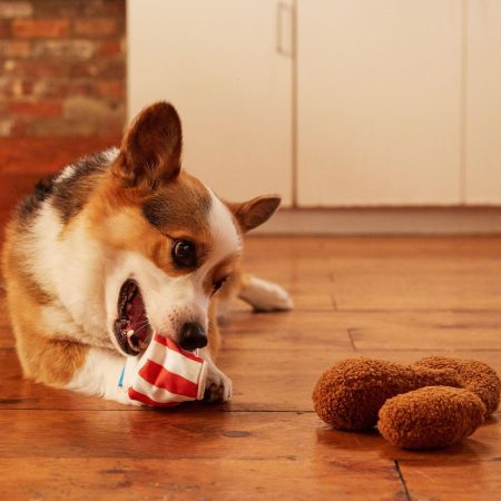 Bucket o'Fried Licken Dog Toy