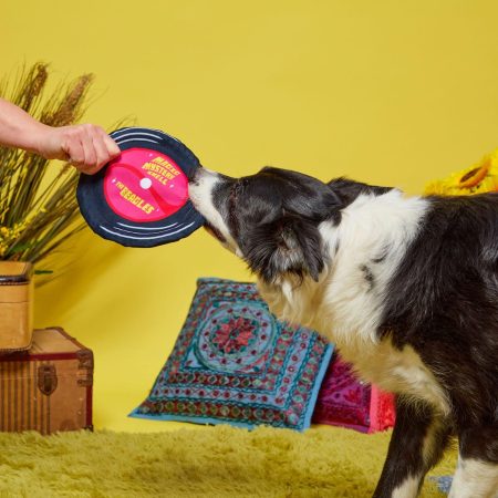 Sqeakadelic Tune Dog Toy